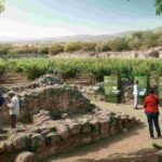 Pompei riscopre il vino: il Gruppo Tenute Capaldo riporta in vita la tradizione vitivinicola