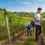 Ritorna nel 2025 la #Zonin1821 Academy: un'opportunità di formazione e dialogo per i giovani