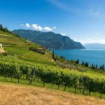 Scopri i Trentodoc: un viaggio tra i sapori del Garda con Cantina di Riva