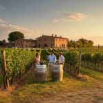 Scopri i trend del enoturismo: i dati più recenti del settore
