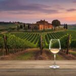 Scopri la magia della Vineyard Cignus et Leonis: un'esperienza unica tra vino e tramonti indimenticabili