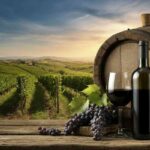Sospensione degli ordini di vini europei: l'UIV incontra Tajani per difendere il vino italiano
