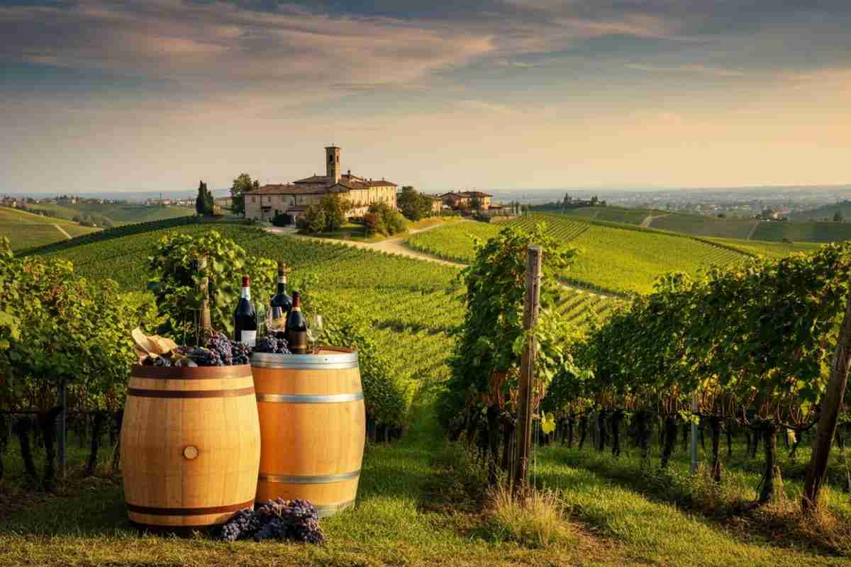 Addio a Giacomo Oddero, il pioniere che ha rivoluzionato il vino piemontese