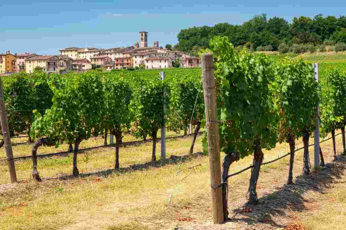 Comacchio: un viaggio tra i vini unici delle sabbie