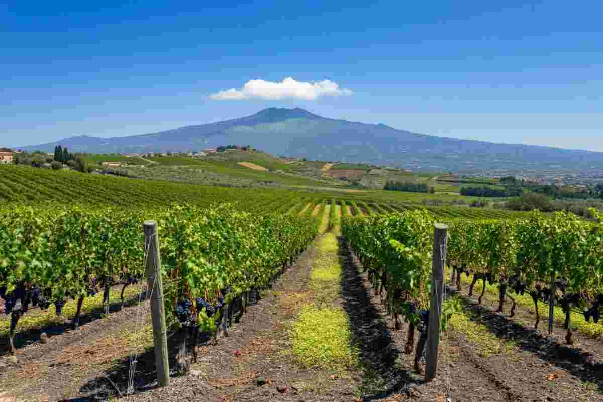 Frescobaldi sbarca in Sicilia: un nuovo capitolo per i vini dell'Etna