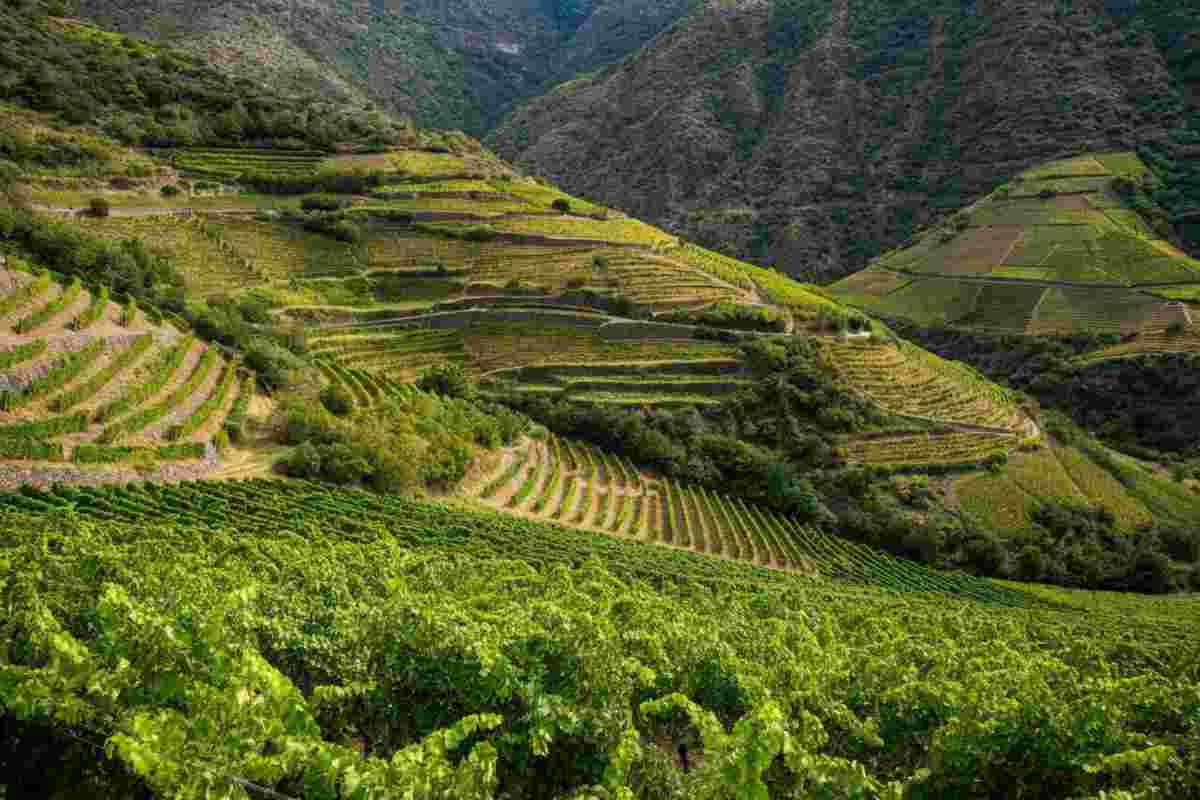 Il Mondial des Vins Extrêmes: un viaggio sensoriale in Valle d’Aosta