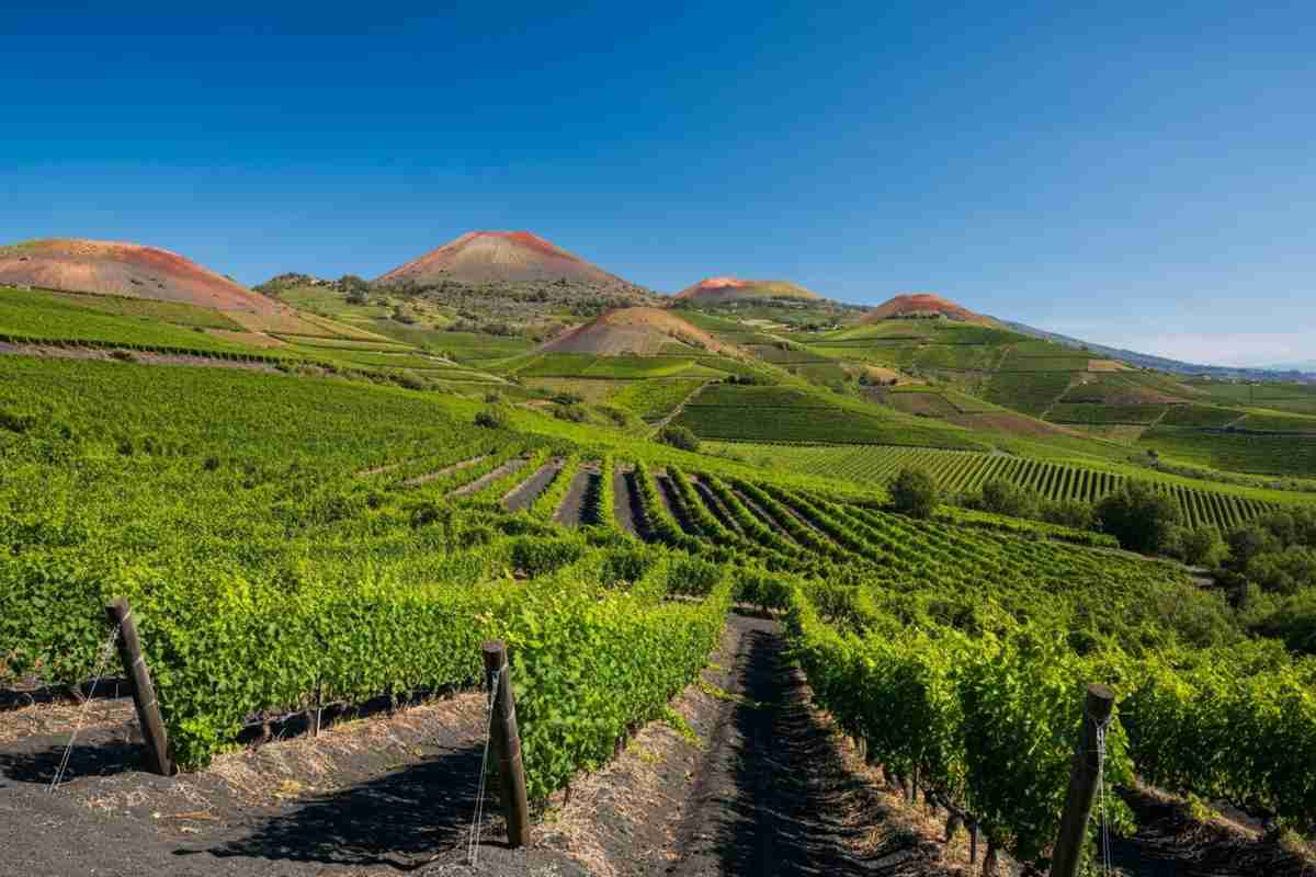 Il cambiamento climatico porta la Doc Montecucco verso nuove vette: ecco i vigneti di montagna