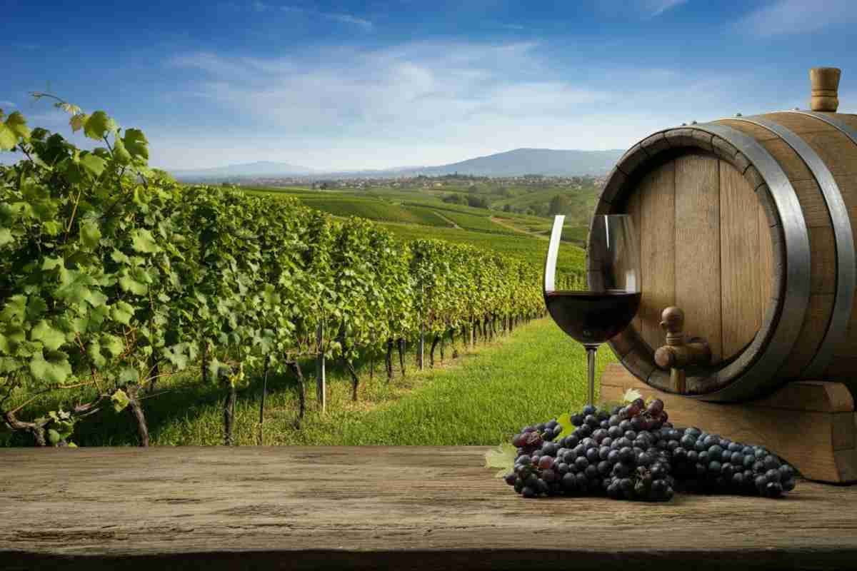 Il vino europeo in crisi: l'allerta sui livelli di TFA cresce