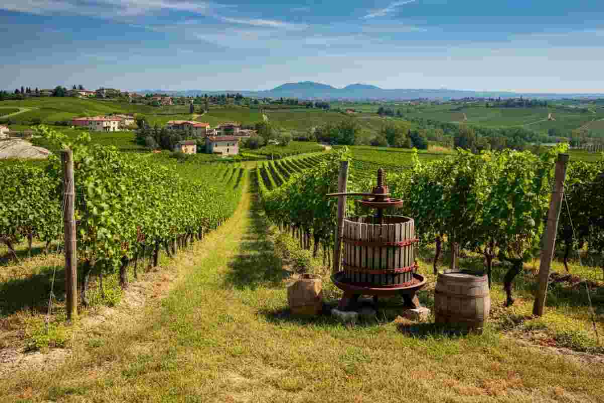 Il vino naturale: sfide e verità secondo Damjan Podversic