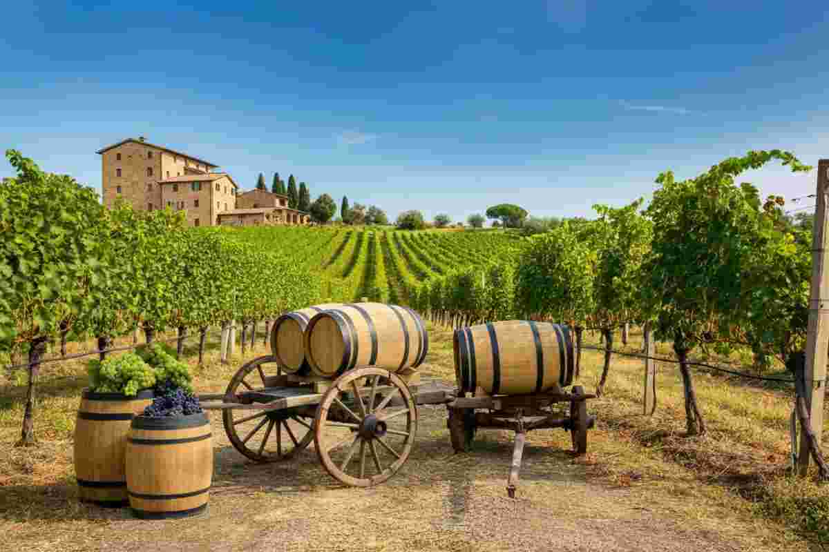 La logistica del vino sotto pressione: come i dazi stanno cambiando il mercato