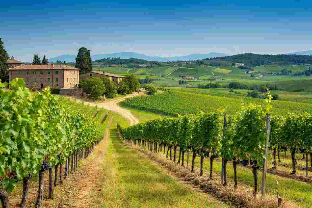 Le giacenze di vino italiano toccano quota 52,8 milioni di ettolitri: cosa significa per il settore?