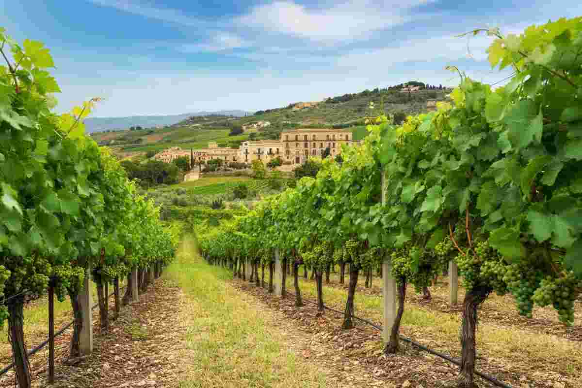 Modica ospita Sicilia en primeur 2025: un evento imperdibile dal 6 al 10 maggio