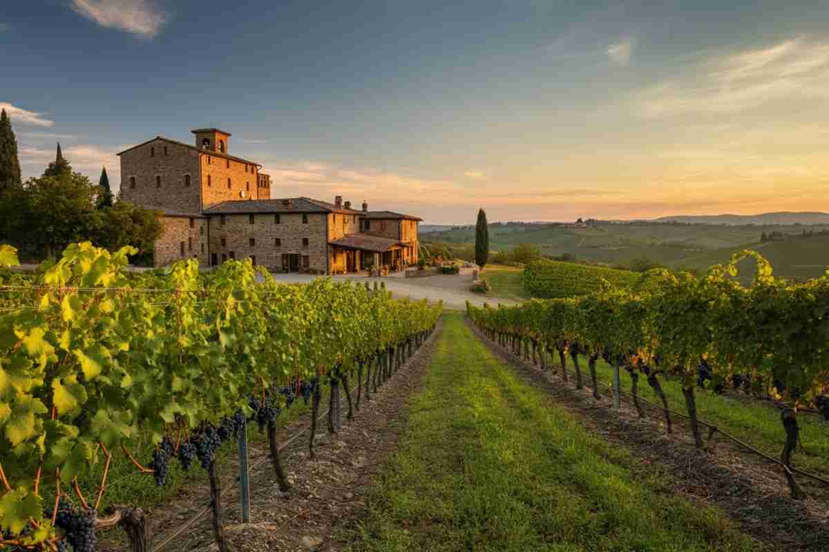 Scoperte sorprendenti: il mistero di A. A. Lagrein Manus Ris svelato nel 2021