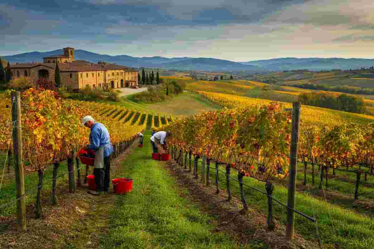 Scopri Gavi Il Forte 2023: un viaggio tra tradizione e innovazione