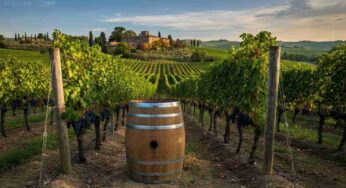 Scopri Montevangelo 2022: un viaggio tra tradizione e innovazione