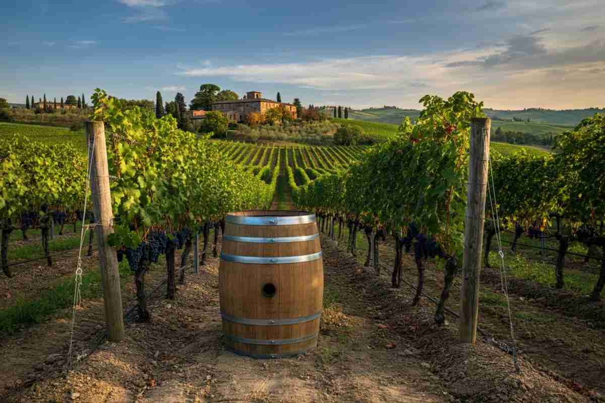 Scopri Montevangelo 2022: un viaggio tra tradizione e innovazione