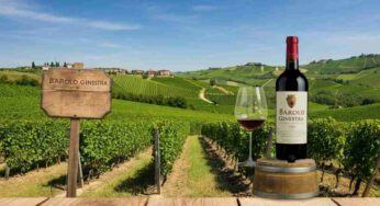 Scopri il Barolo Ginestra 2019: un viaggio tra eleganza e tradizione
