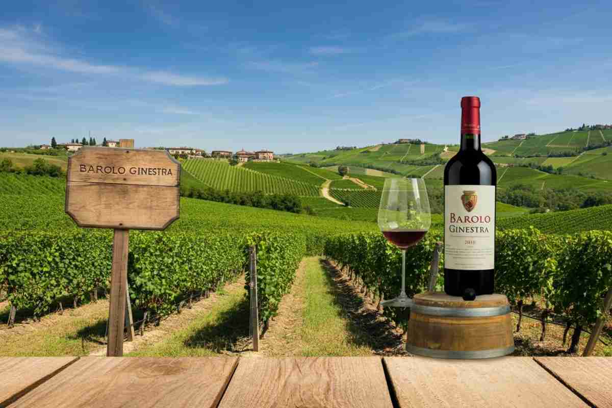 Scopri il Barolo Ginestra 2019: un viaggio tra eleganza e tradizione
