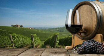Scopri il Barolo Vignarionda Ris. 2018: un viaggio nei sapori del Piemonte