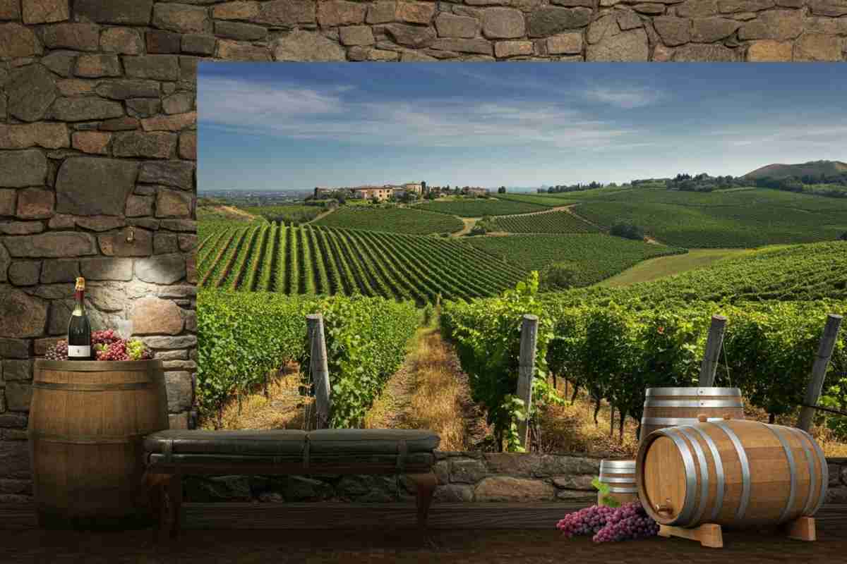 Scopri il Colli Euganei Rosso Rossura dei Briganti: un tesoro del 2018 dalla cantina misteriosa