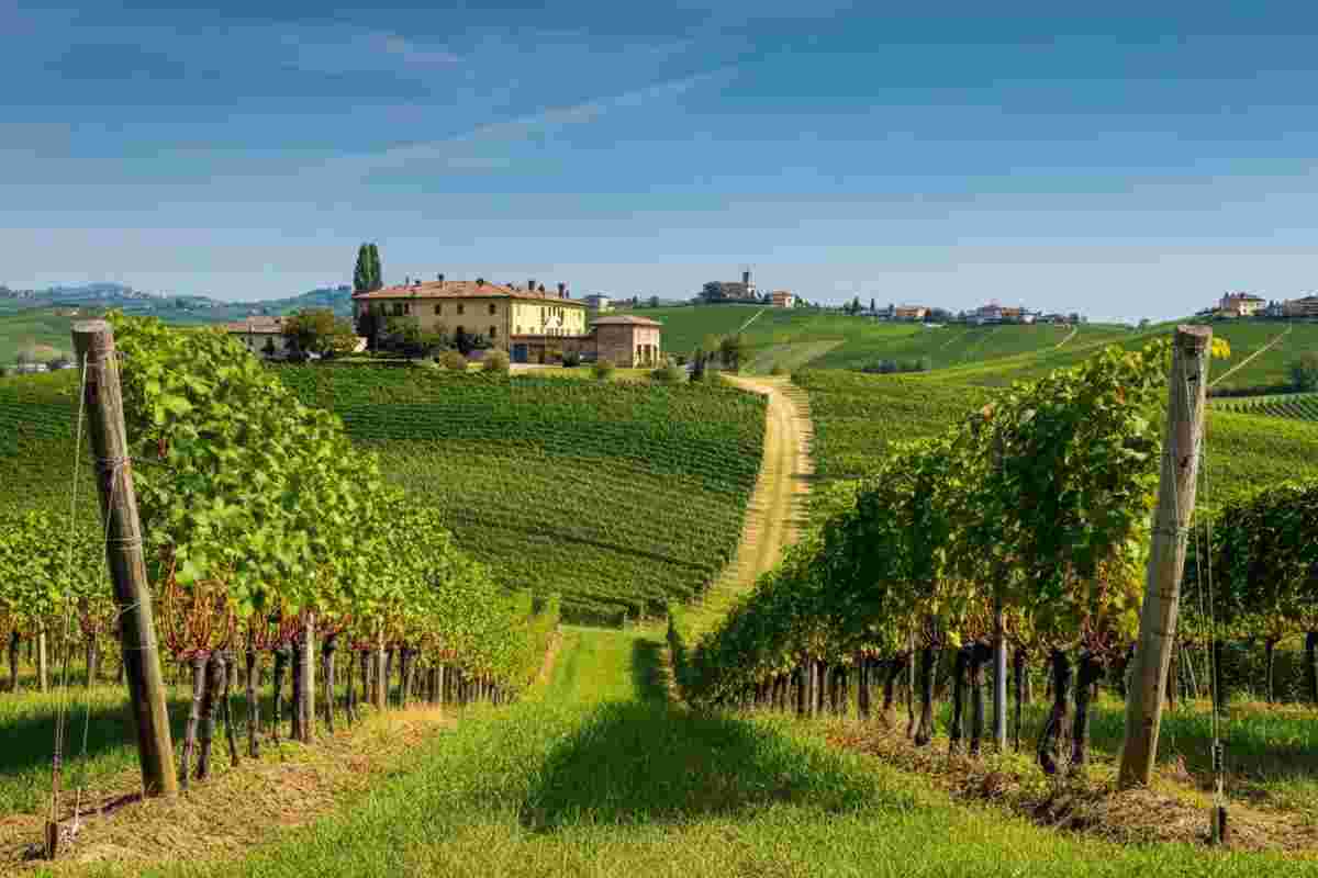 Scopri il Nebbiolo d'Alba Genta 2018: un viaggio nei sapori del Piemonte