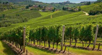 Scopri il Valdobbiadene Rive di Guia Extra Brut Aldaina al Mas 2023: un’esperienza di gusto da non perdere