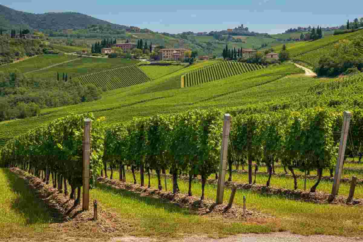 Scopri il Valdobbiadene Rive di Guia Extra Brut Aldaina al Mas 2023: un'esperienza di gusto da non perdere