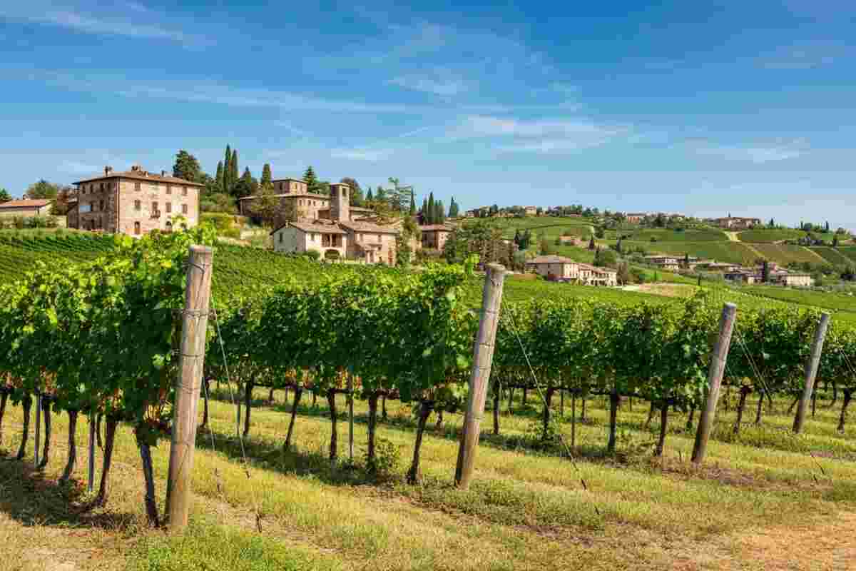 Scopri il Valpolicella Cl. Le Bine 2023: un vino da non perdere