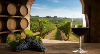 Scopri il Valpolicella Sup. Ripasso I Berari 2019: un vino che conquista il palato