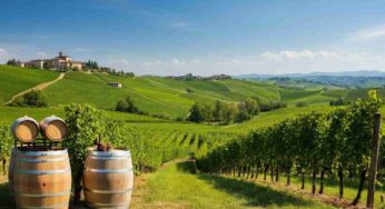 Scopri il fascino del Roero Castelletto Ris. 2019: un vino da non perdere