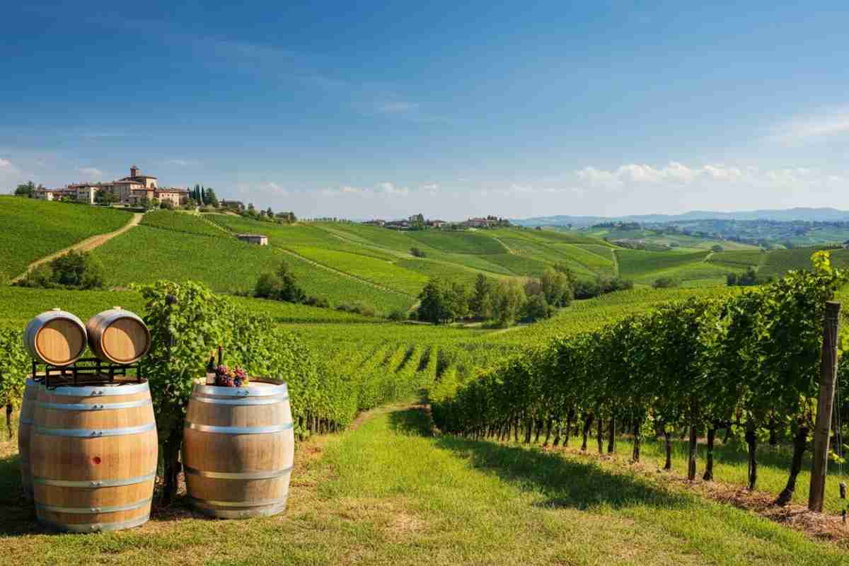 Scopri il fascino del Roero Castelletto Ris. 2019: un vino da non perdere