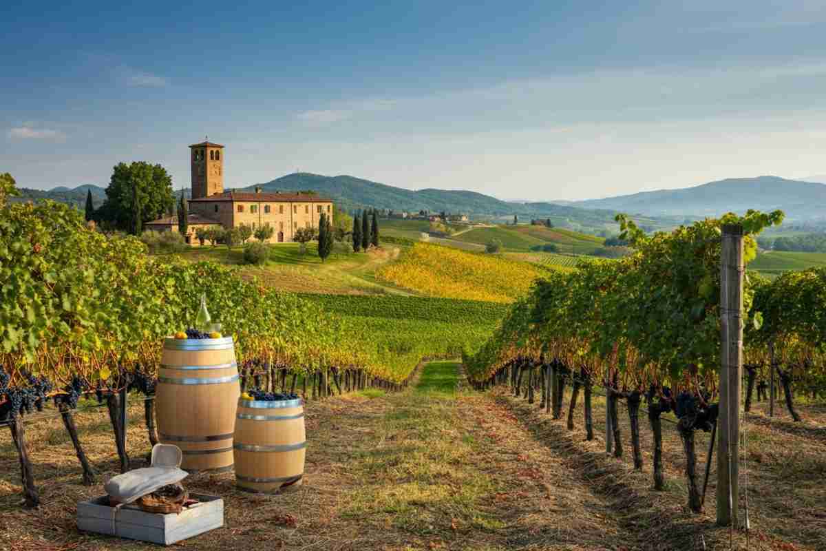 Scopri il fascino della Lerà Malvasia 2023: un viaggio tra sapori e tradizioni