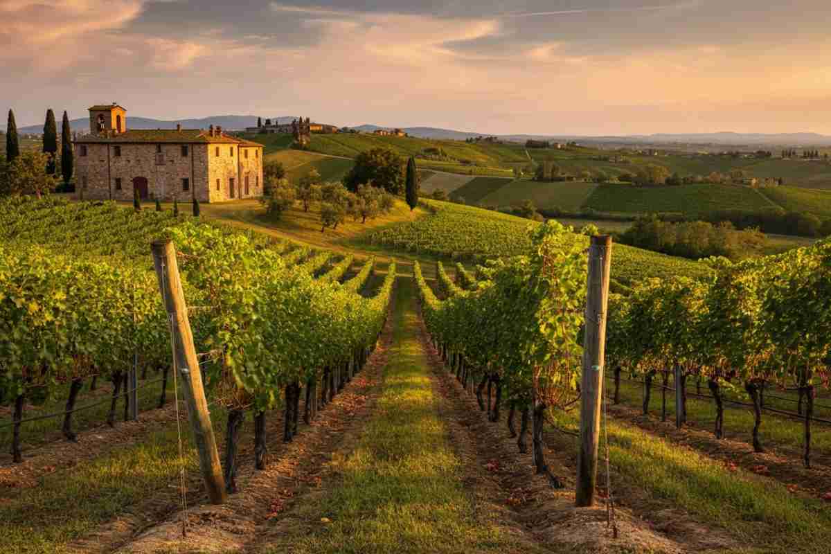 Scopri il fascino di Gavi Villavecchia 2022: un viaggio tra storia e gusto