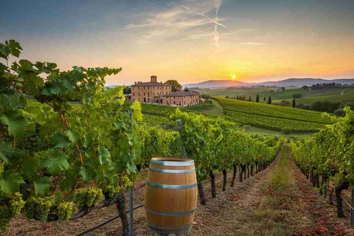 Scopri il fascino di Soave: l'Oasi San Giacomo 2022 ti aspetta