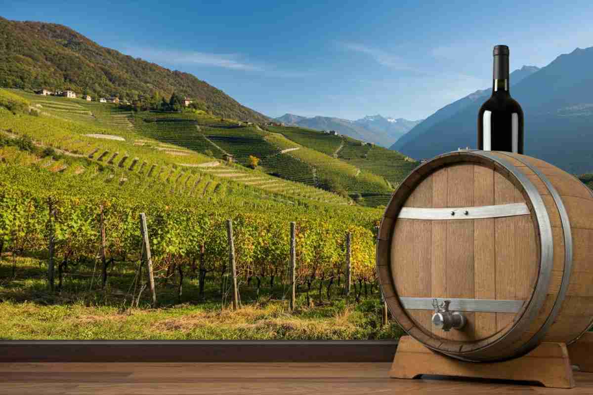 Scopri il tesoro enologico della Valtellina: Sassella Ris. 2019