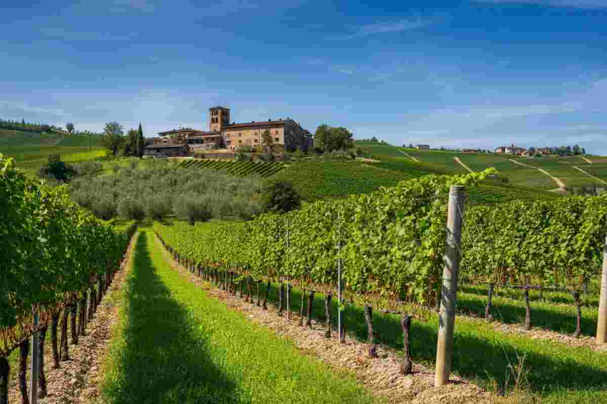 Scopri le meraviglie delle Langhe Très Plus 2022