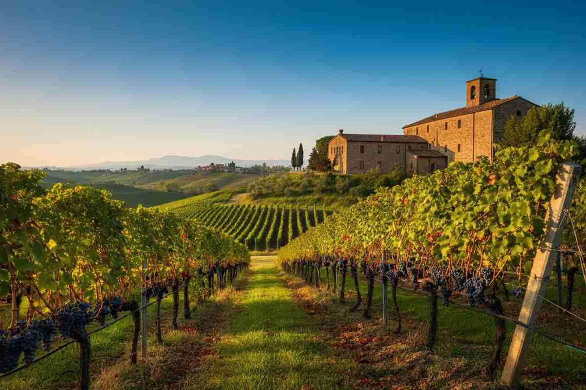 Scopri le meraviglie di Rosësi 2023: un viaggio tra tradizione e innovazione