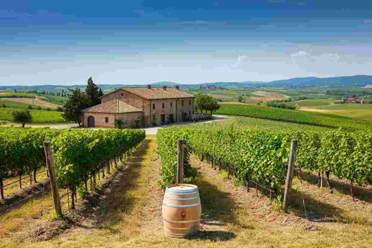 Scopri le meraviglie di Zipolo 2020: un viaggio nel futuro del turismo sostenibile