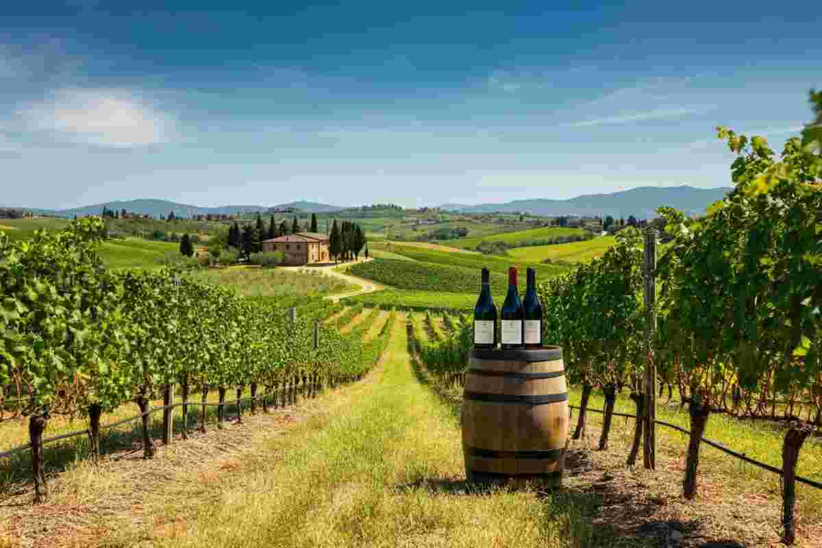 Sicilia guida per superficie, Veneto brilla nella produzione: Treviso fa il pieno di successi