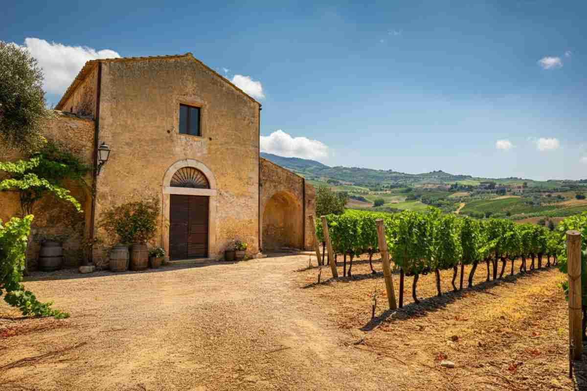 Un antico palmento in provincia di Siracusa si trasforma nel nuovo Museo del Vino