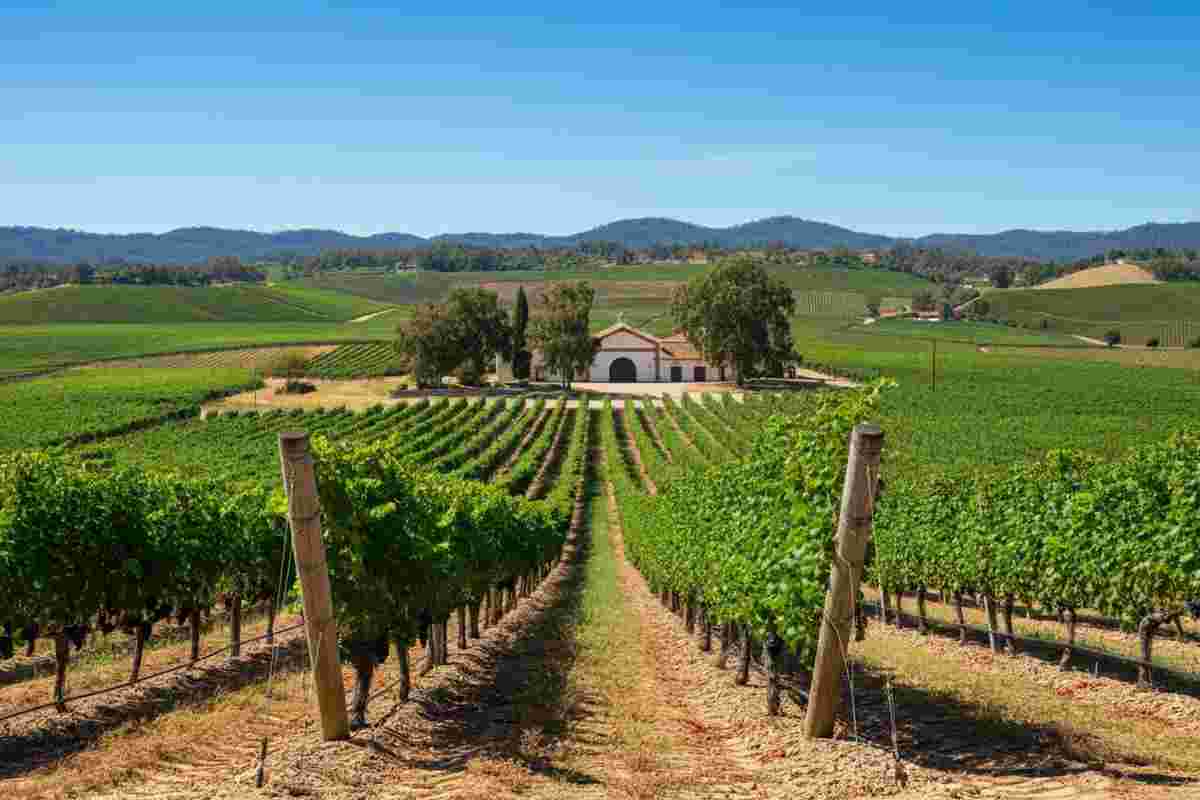 Vini fortificati in corsa per il riconoscimento UNESCO: la candidatura di Marsala è ufficiale