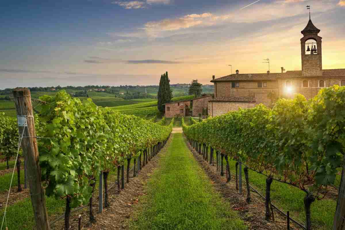 Vino in calo: 53 milioni di ettolitri ancora nelle cantine
