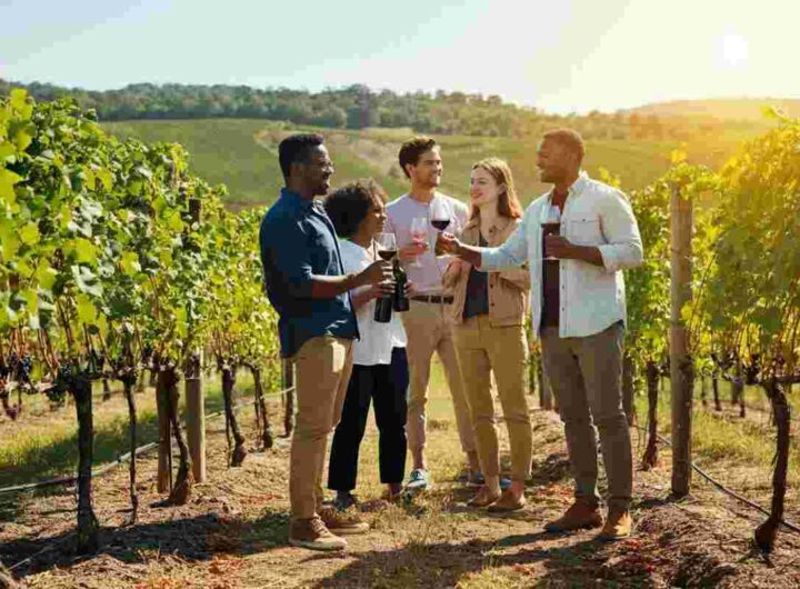 AIS Veneto investe oltre 100mila euro per promuovere la solidarietà