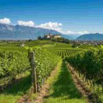 Alto Adige trionfa al Concorso Nazionale del Pinot Nero 2025