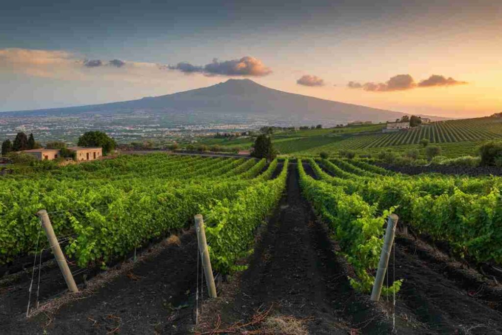Ammura: alla scoperta dell'Etna della famiglia Tommasi