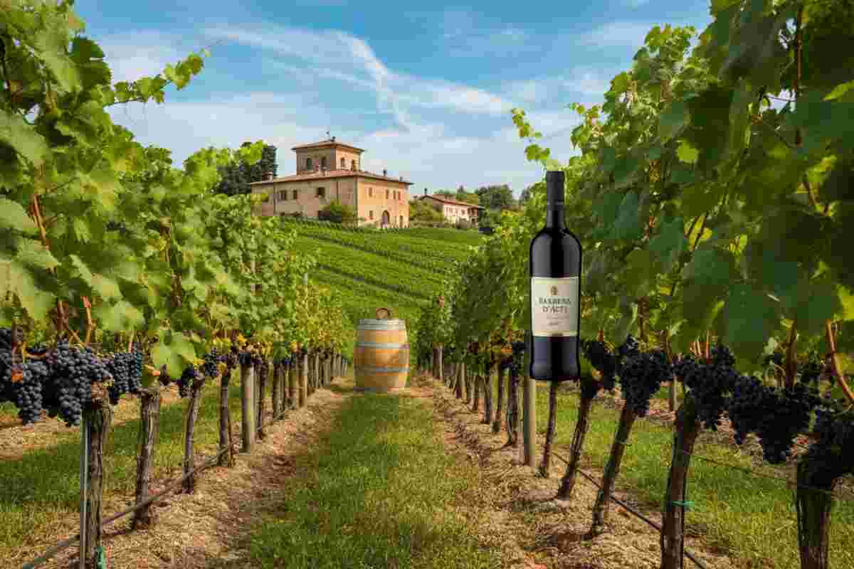 Barbera d’Asti: la nuova tutela europea che protegge il nostro vino simbolo
