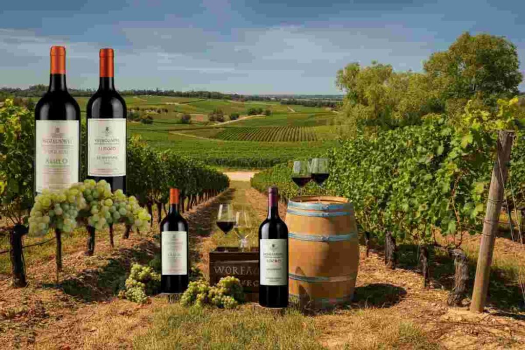 Bordeaux: come la crisi sta plasmando un futuro innovativo per il vino