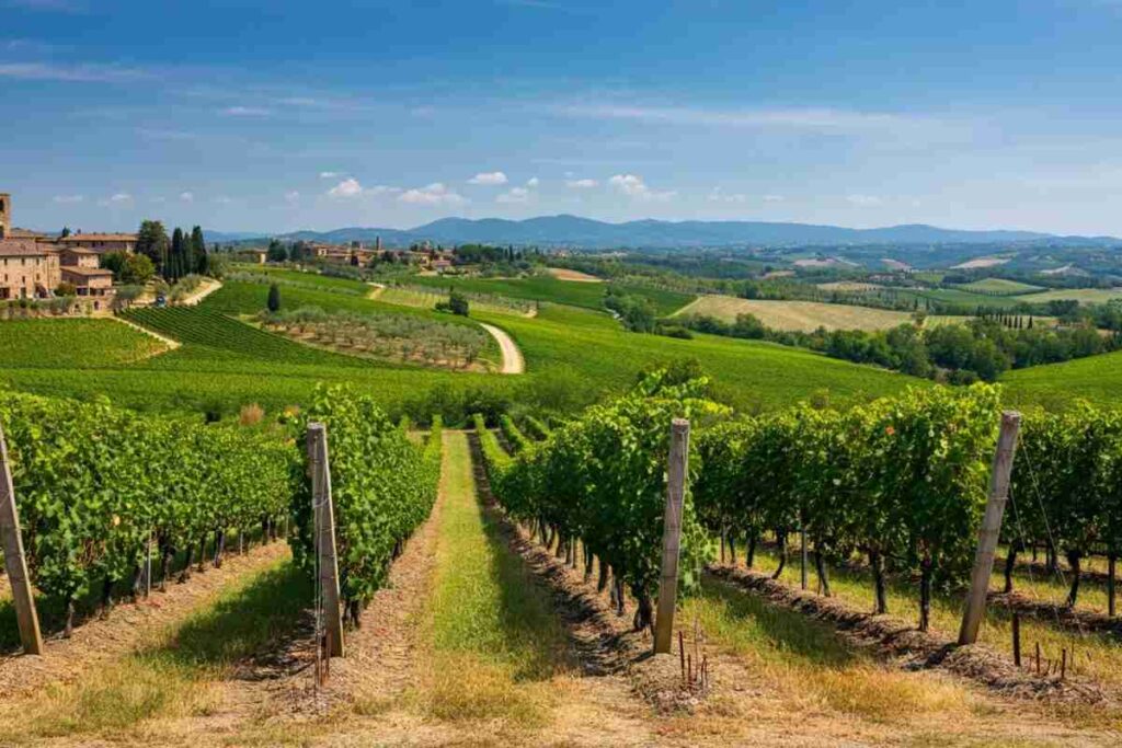 Brunello di Montalcino: il nuovo Consiglio di Amministrazione si presenta al mondo del vino