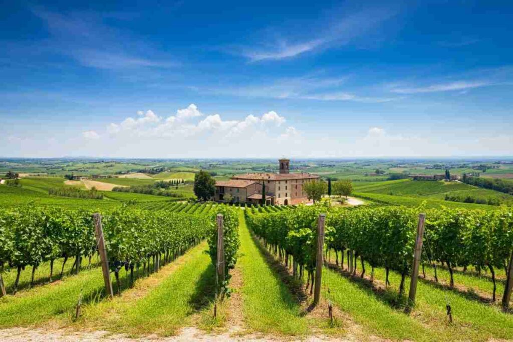 Carlo Piccinini riconfermato alla guida del Consorzio Emilia-Romagna