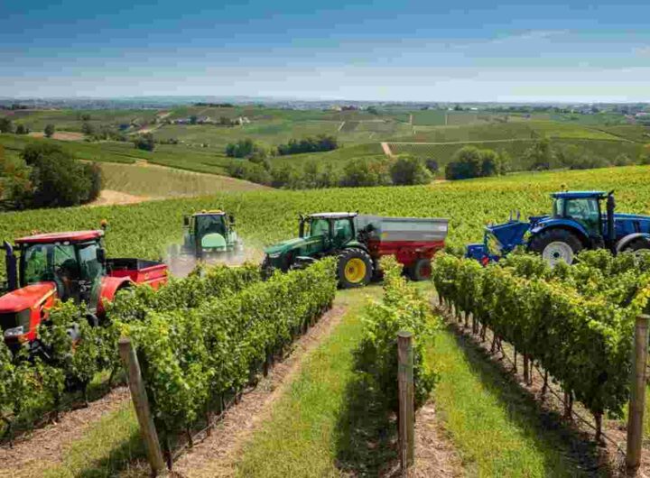 Crollo dell'export di trattori e macchinari agricoli: un calo del 25% sorprende il settore